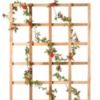 trellis22